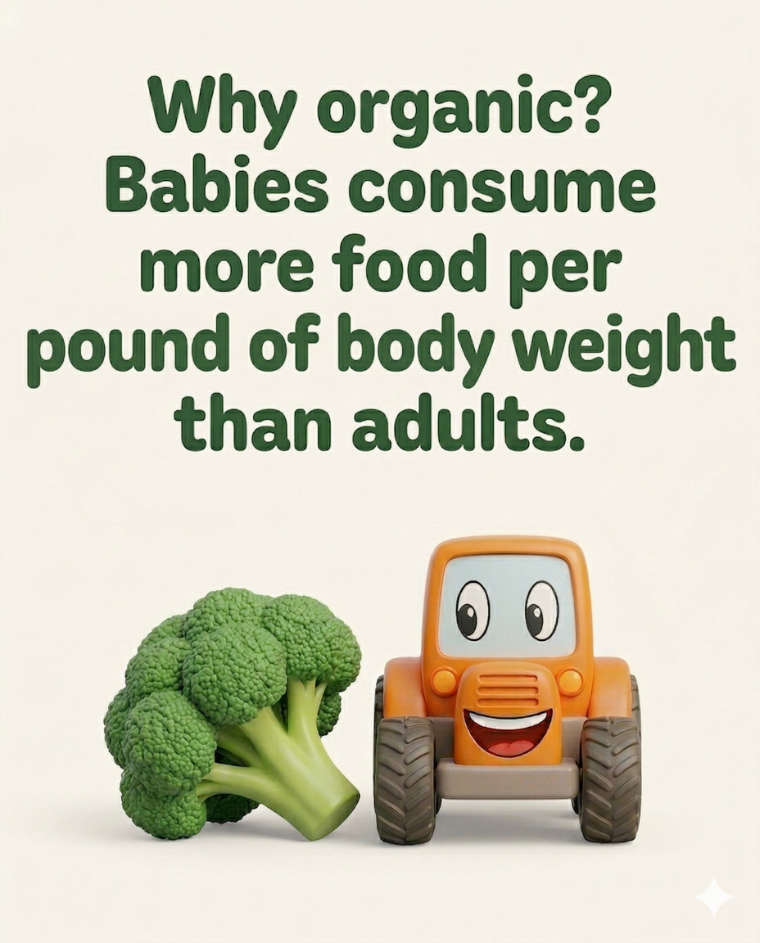 Baby food organic Instagram Carousel